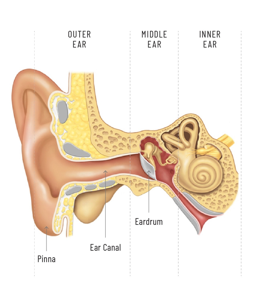 Tinnitus Awareness Month Part 2 - Types of Tinnitus hero image