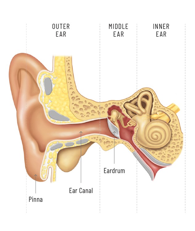 The Ear Place | Hearing Assessment